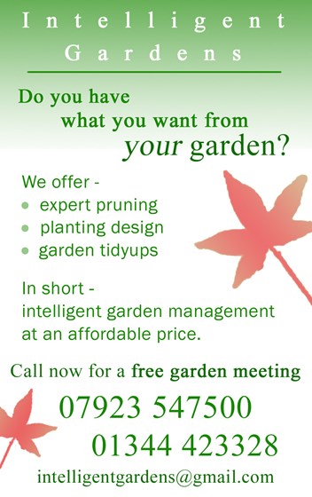 Graphic Design: Intelligent Gardens Branding