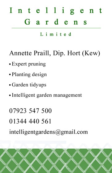 Graphic Design: Intelligent Gardens Branding