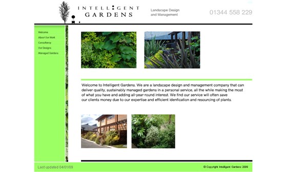 Graphic Design: Intelligent Gardens Branding