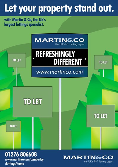 Graphic Design: Martin & Co Advertisements